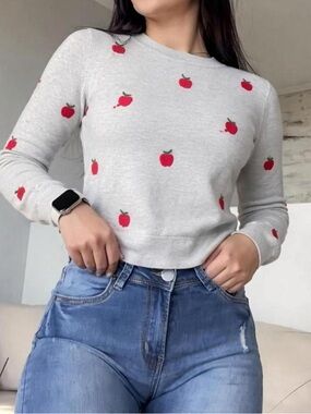 J. Crew Light Gray Sweater with Red Apple Embroidery